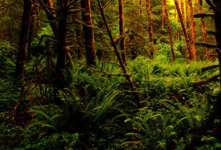 Nature