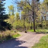 Review photo of Gooseberry Falls State Park Campground by Cody A., June 9, 2019