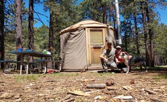 Kaysha R.'s photo of tent camping at Arizona Nordic Village near Gray Mountain, AZ