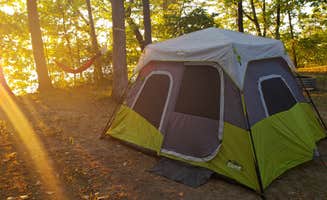 Sarah L.'s photo at Green Lake Rustic South — Interlochen State Park near Mesick, MI