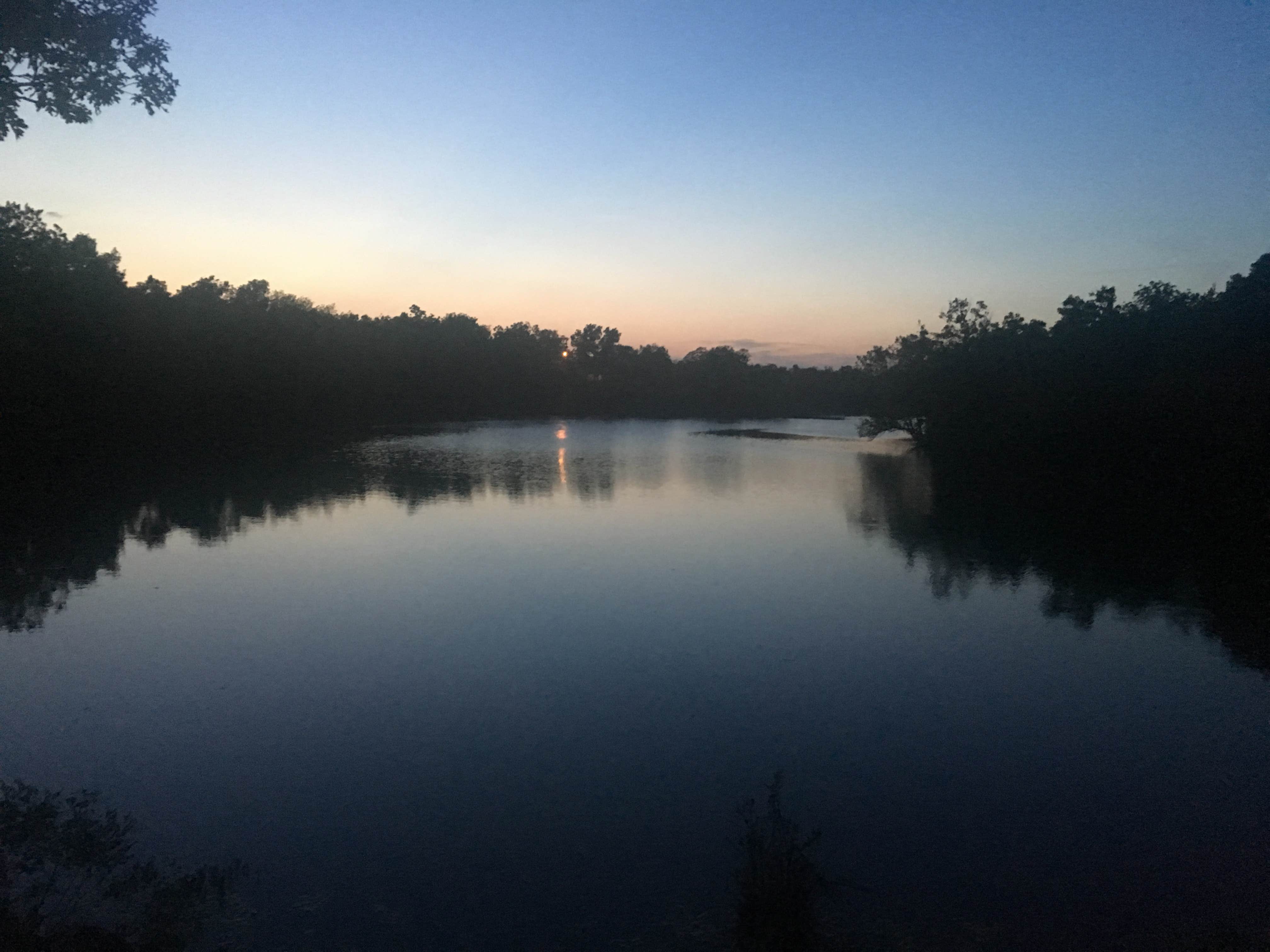 Water