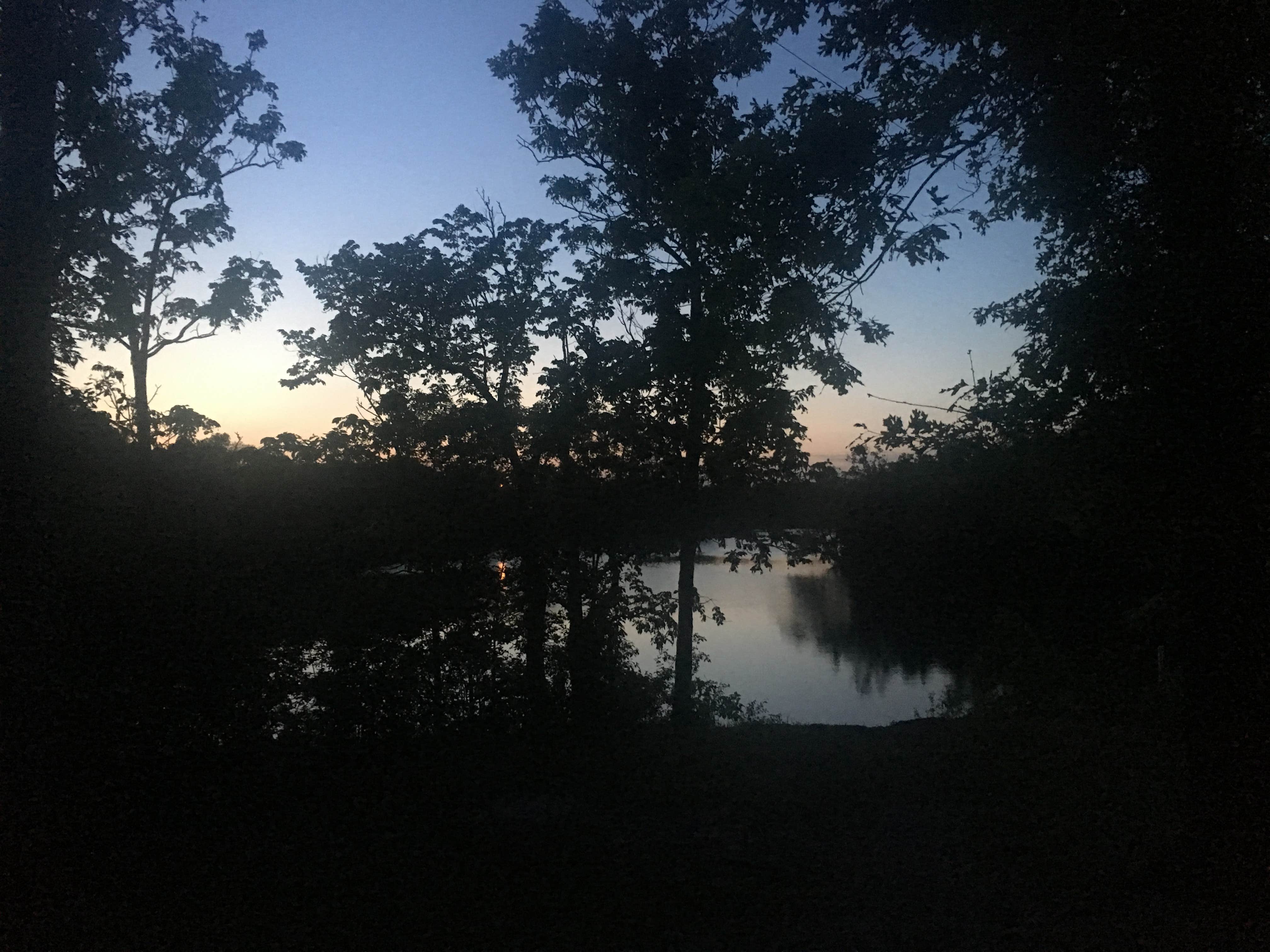 View All