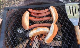 Wayne B.'s photo of camping with pets at Two Rivers Campground near Readfield, ME