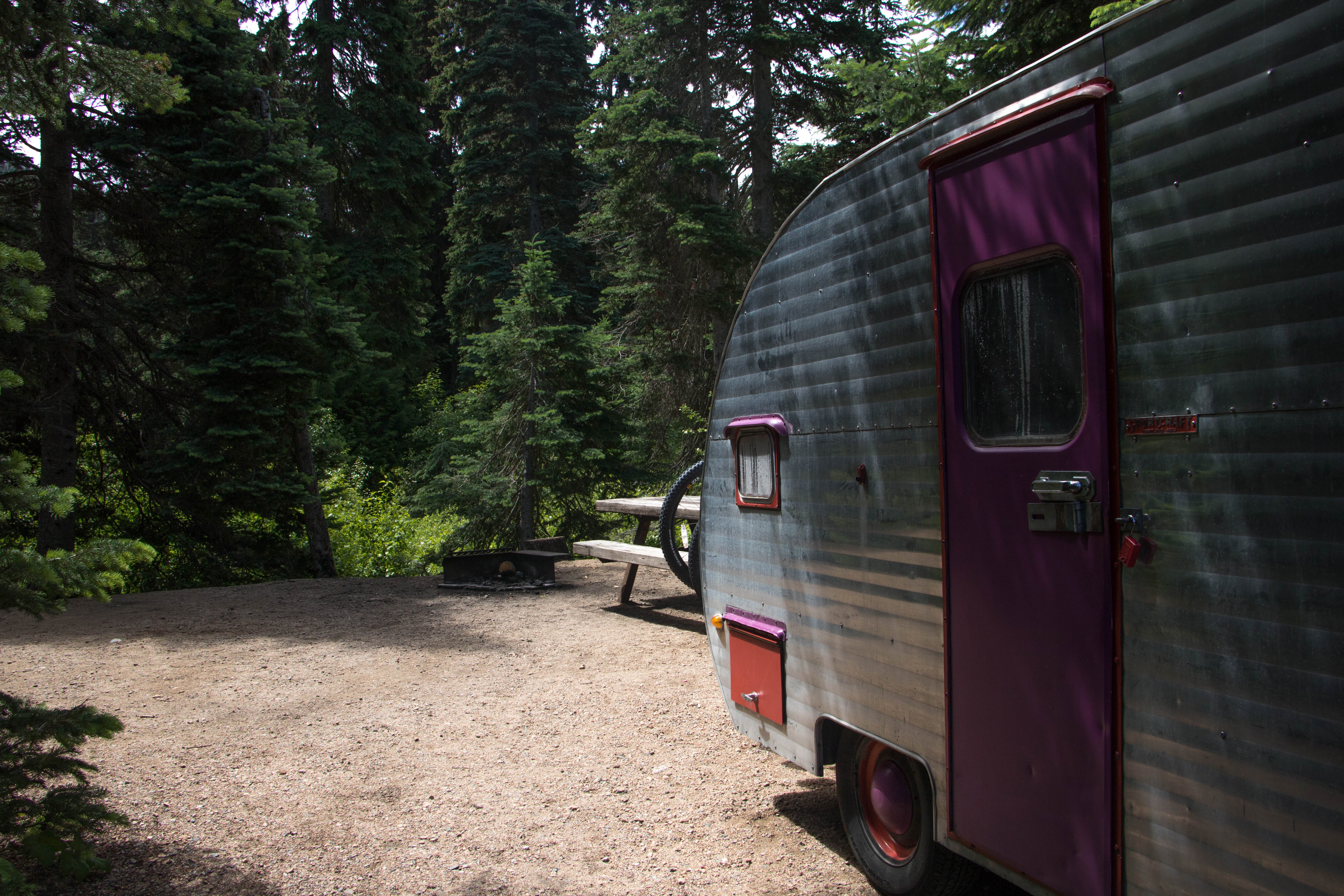 Camper submitted image from Lone Fir Campground - 5
