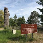 Review photo of Ossineke State Forest Campground by Emily V., June 10, 2019