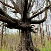 Review photo of Susquehanna State Park Campground by Paul N., June 10, 2019