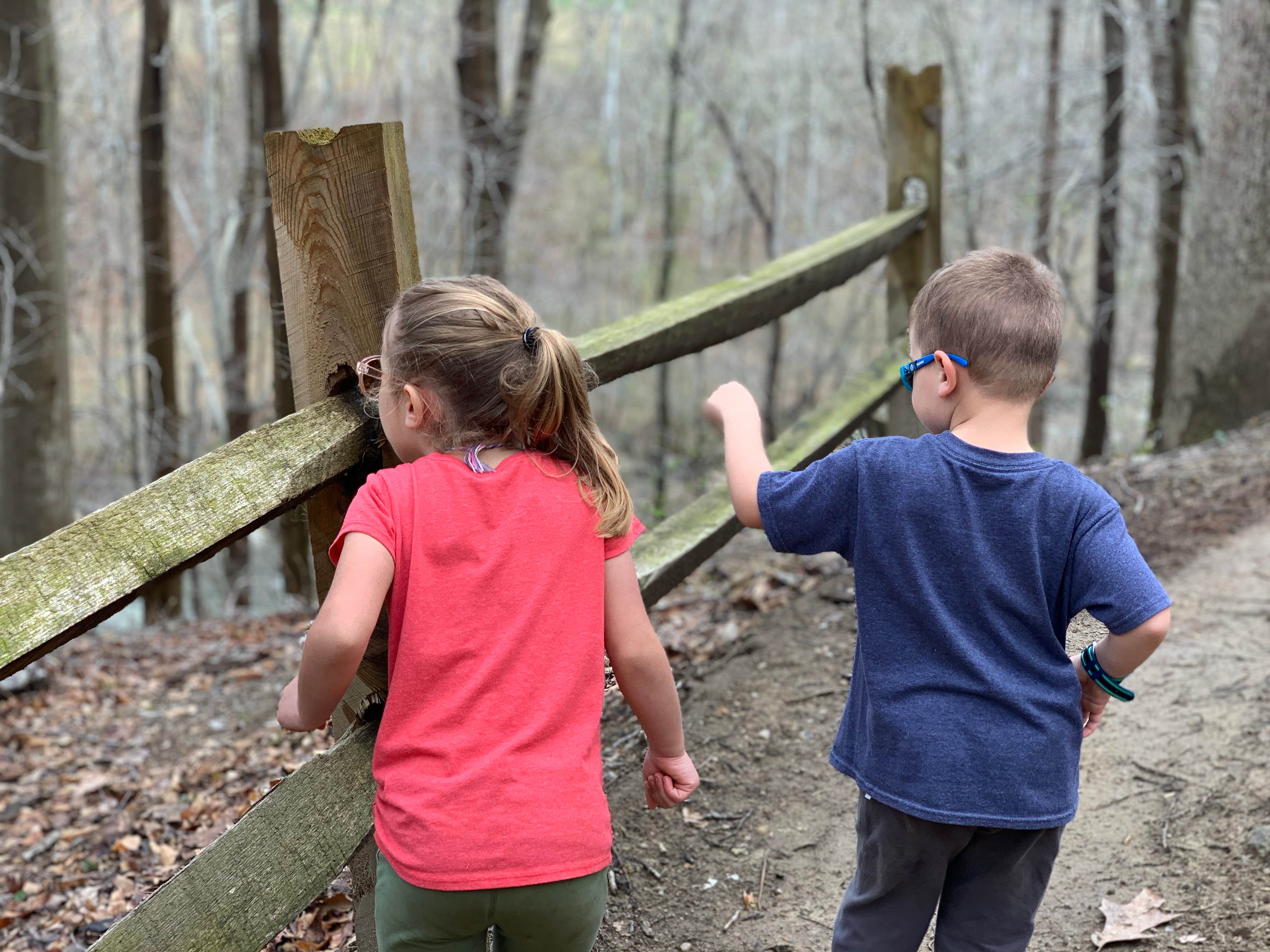 Camper-submitted photo at Susquehanna State Park Campground near Long Green, MD