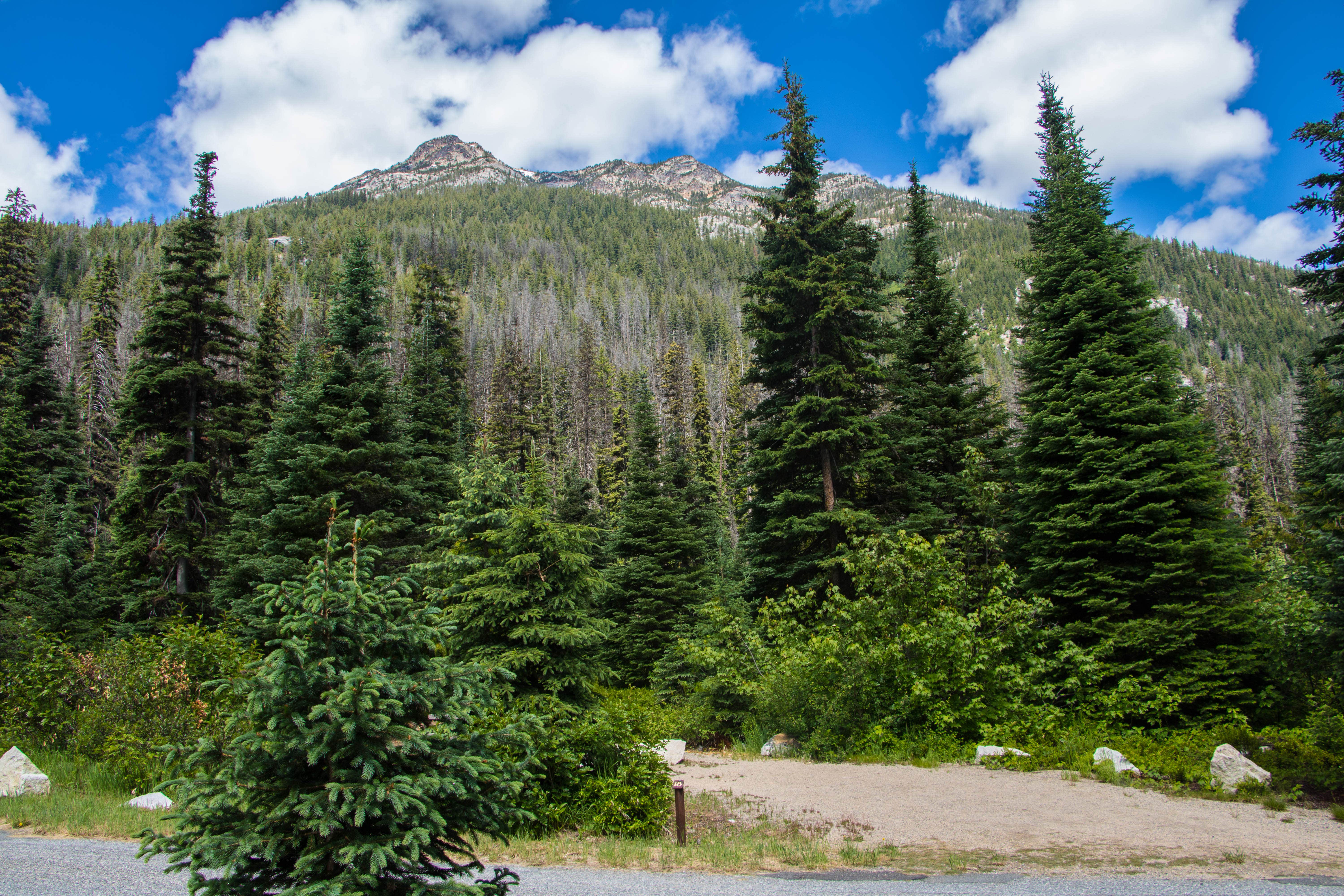 Camper-submitted photo at Lone Fir Campground near Stehekin, WA