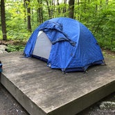 Review photo of Mahlon Dickerson Reservation by Paul N., June 10, 2019