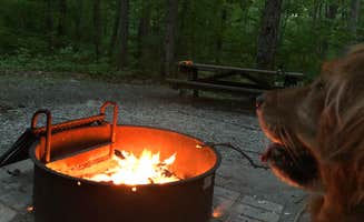 Paul N.'s photo of camping with pets at Mahlon Dickerson Reservation near Sterling Forest, NY