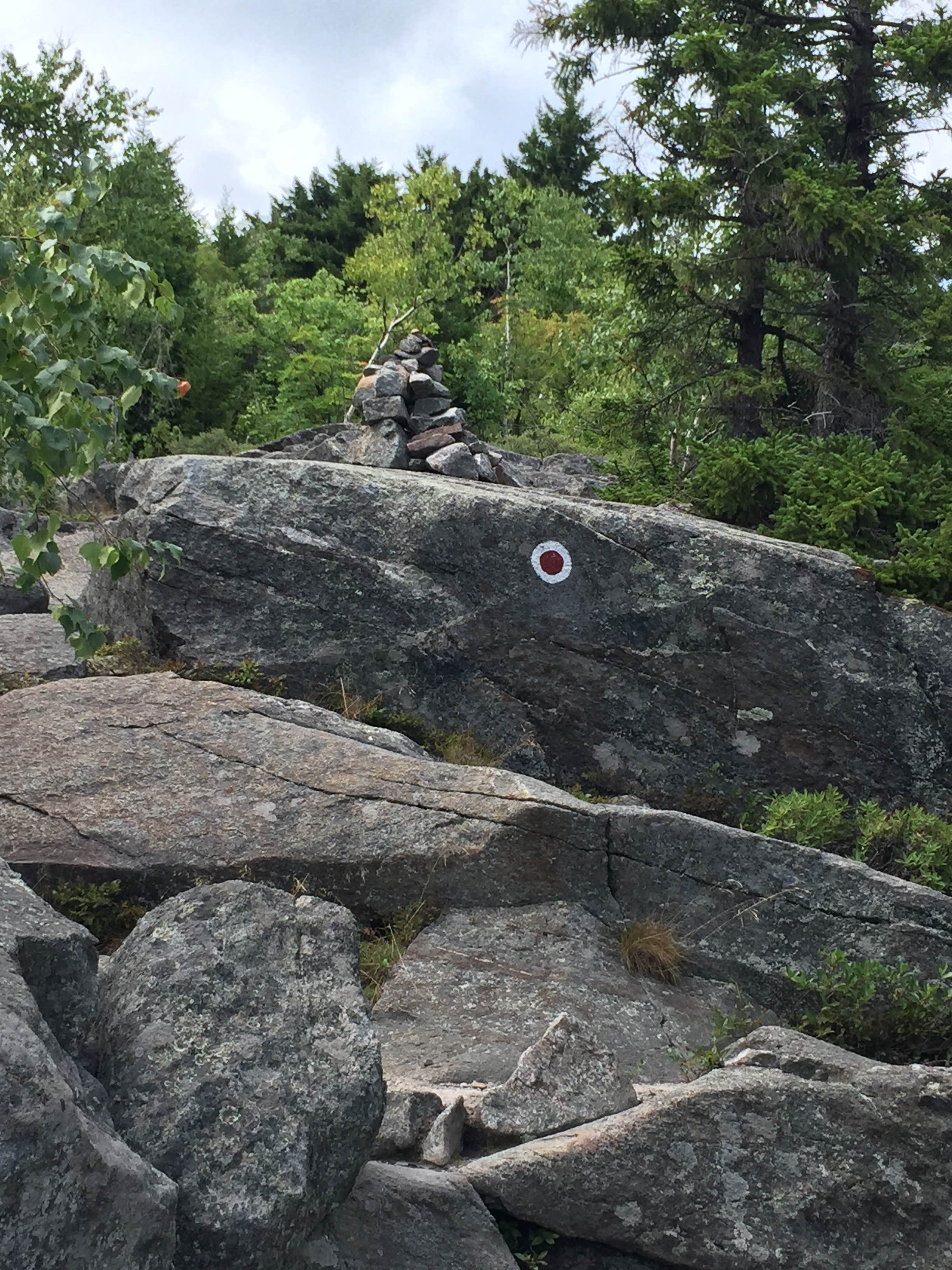 Camper submitted image from Monadnock State Park Campground - 2