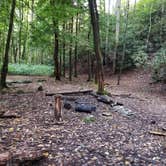 Review photo of Bote Mountain Campsite 18 — Great Smoky Mountains National Park by Christina  Z., June 10, 2019