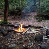 Review photo of Bote Mountain Campsite 18 — Great Smoky Mountains National Park by Christina  Z., June 10, 2019