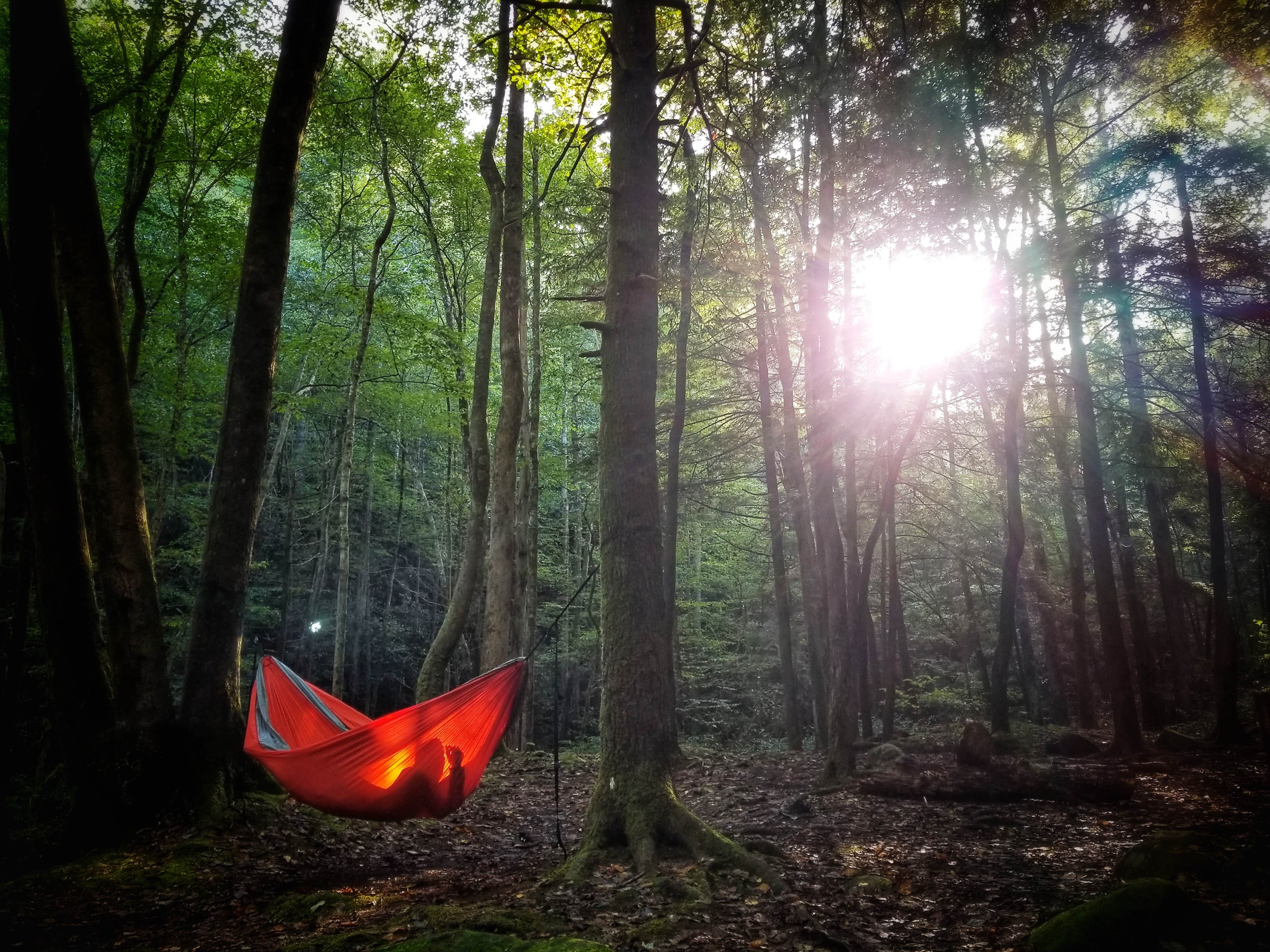 Camper-submitted photo at Bote Mountain Campsite 18 — Great Smoky Mountains National Park near Tallassee, TN