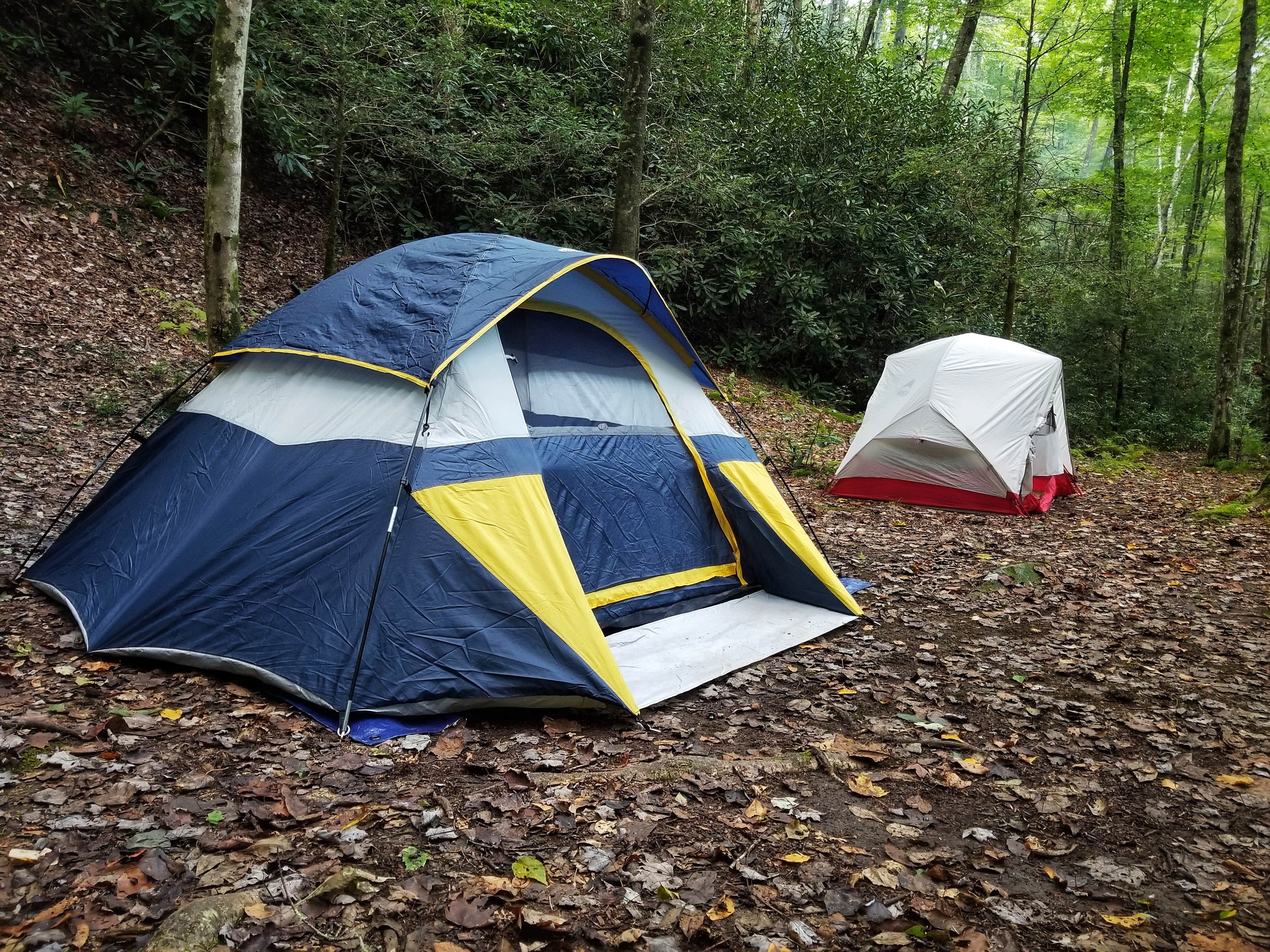 Christina  Z.'s photo of tent camping at Bote Mountain Campsite 18 — Great Smoky Mountains National Park near Clinton, TN