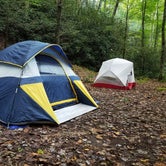 Review photo of Bote Mountain Campsite 18 — Great Smoky Mountains National Park by Christina  Z., June 10, 2019
