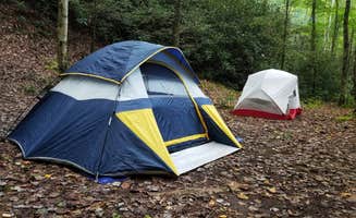 Christina Z.'s photo of tent camping at Bote Mountain Campsite 18 — Great Smoky Mountains National Park near Farragut, TN
