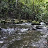 Review photo of Bote Mountain Campsite 18 — Great Smoky Mountains National Park by Christina  Z., June 10, 2019