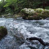 Review photo of Bote Mountain Campsite 18 — Great Smoky Mountains National Park by Christina  Z., June 10, 2019