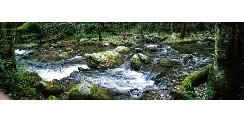 Camper submitted image from Bote Mountain Campsite 18 — Great Smoky Mountains National Park
