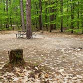 Review photo of White Lake State Park Campground by Jean C., June 10, 2019