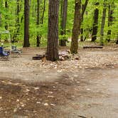 Review photo of White Lake State Park Campground by Jean C., June 10, 2019