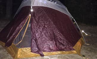 Patricia E.'s photo at Gilson Pond Area Campground — Monadnock State Park near Keene, NH