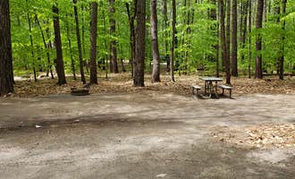Camping near Stagecoach Falls: White Lake State Park Campground, West Ossipee, New Hampshire