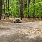 Review photo of White Lake State Park Campground by Jean C., June 10, 2019