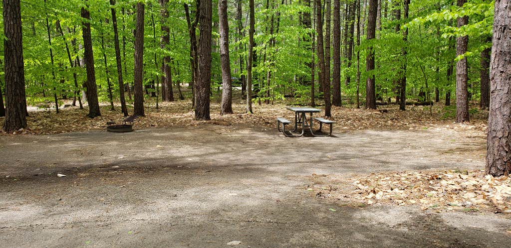 Camper submitted image from White Lake State Park Campground - 1