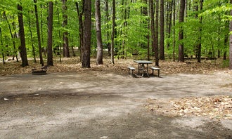 Camping near The Bluffs RV Resort: White Lake State Park Campground, West Ossipee, New Hampshire