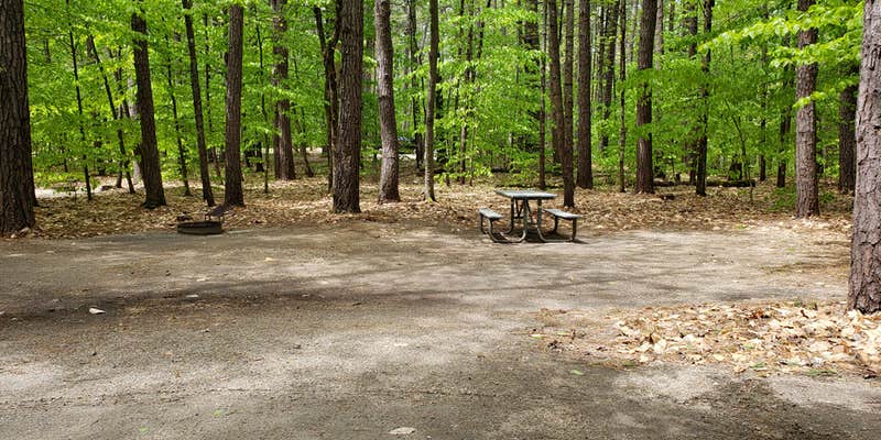 Camper submitted image from White Lake State Park Campground