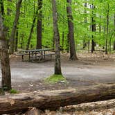 Review photo of White Lake State Park Campground by Jean C., June 10, 2019