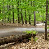 Review photo of White Lake State Park Campground by Jean C., June 10, 2019