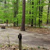 Review photo of White Lake State Park Campground by Jean C., June 10, 2019