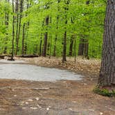 Review photo of White Lake State Park Campground by Jean C., June 10, 2019