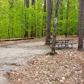 Review photo of White Lake State Park Campground by Jean C., June 10, 2019