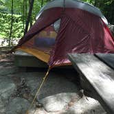 Review photo of Gilson Pond Area Campground — Monadnock State Park by Patricia E., August 31, 2016