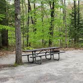 Review photo of White Lake State Park Campground by Jean C., June 10, 2019