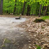 Review photo of White Lake State Park Campground by Jean C., June 10, 2019