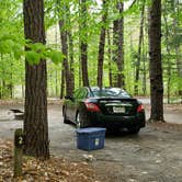 Review photo of White Lake State Park Campground by Jean C., June 10, 2019