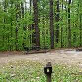 Review photo of White Lake State Park Campground by Jean C., June 10, 2019