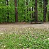 Review photo of White Lake State Park Campground by Jean C., June 10, 2019