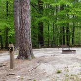 Review photo of White Lake State Park Campground by Jean C., June 10, 2019