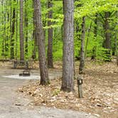 Review photo of White Lake State Park Campground by Jean C., June 10, 2019