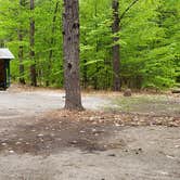 Review photo of White Lake State Park Campground by Jean C., June 10, 2019