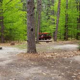 Review photo of White Lake State Park Campground by Jean C., June 10, 2019