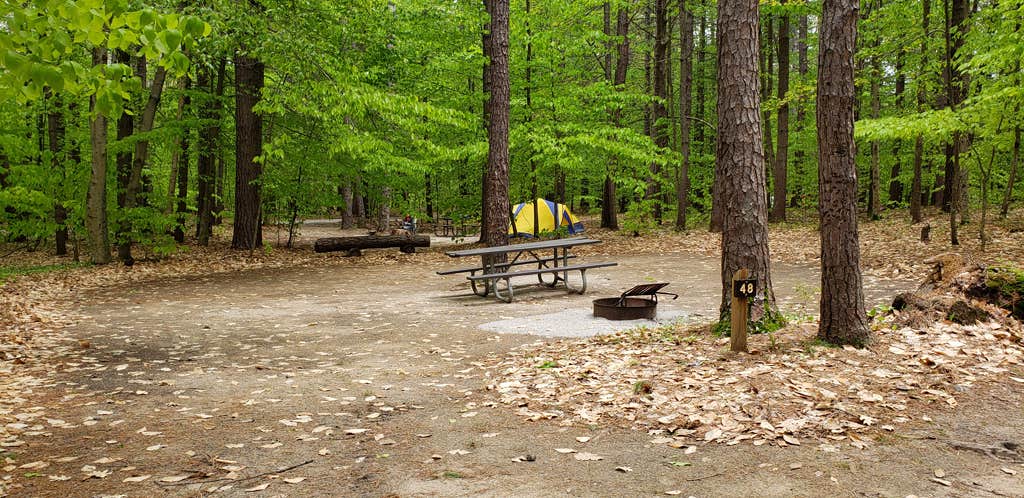 Jean C.'s photo at White Lake State Park Campground near West Ossipee, NH