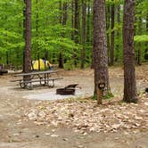 Review photo of White Lake State Park Campground by Jean C., June 10, 2019