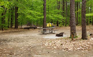 Jean C.'s photo at White Lake State Park Campground near Center Sandwich, NH